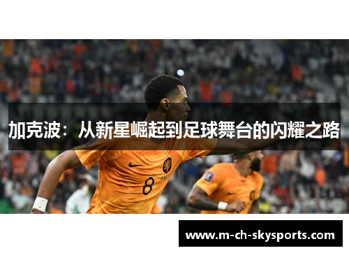 加克波：从新星崛起到足球舞台的闪耀之路