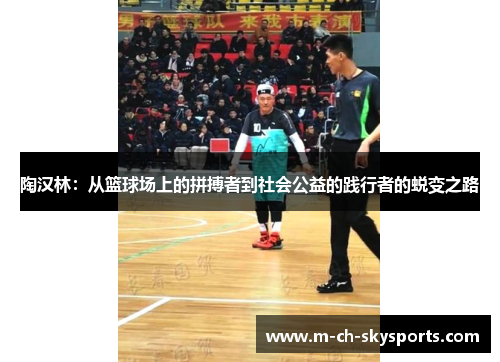 陶汉林：从篮球场上的拼搏者到社会公益的践行者的蜕变之路