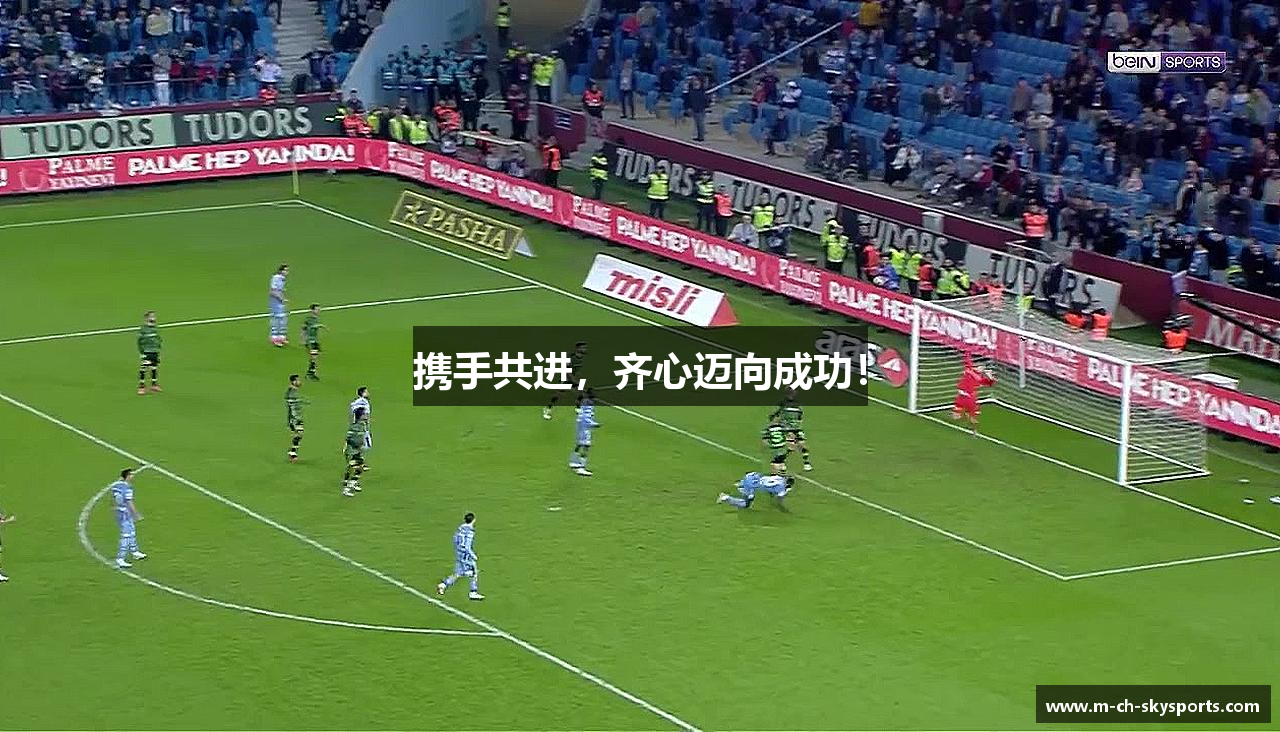 携手共进，齐心迈向成功！